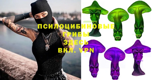 2c-b Белоозёрский